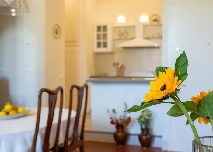 Apartment Casa Iginia With A View 300mt From Ponte Vecchio *